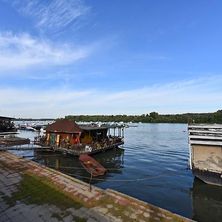 Hidden Gem Leilighet Beograd Eksteriør bilde